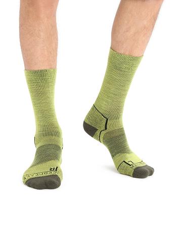 Chaussettes Icebreaker Merino Hike+ Light Crew Homme Vert Olive | FR 1040HAPK